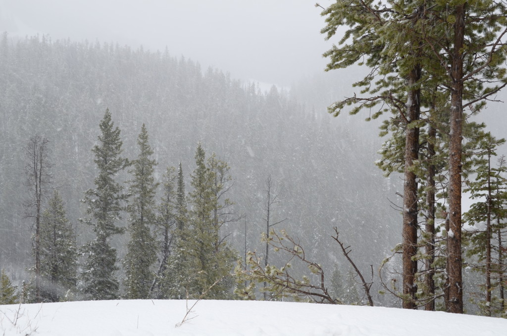 Mountainside Snow