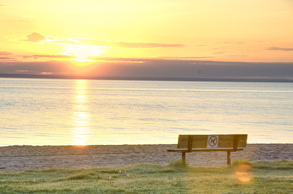 Lone Bench